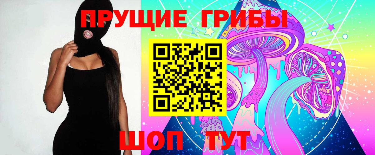 Алейск  Псилоцибиновые грибы MAGIC MUSHROOMS  Галлюциногенные грибы MAGIC MUSHROOMS  Вход с VPN 